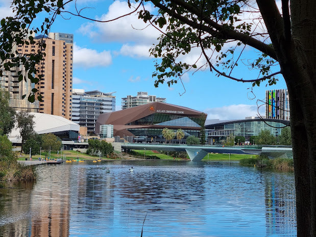 Top Shelling Beaches around Adelaide 2024: Prime Spots for Beachcombers