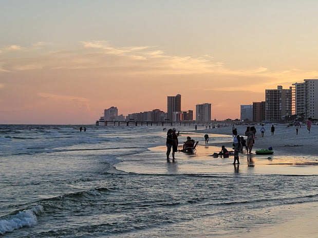 Top Beaches for Shelling in Alabama 2024: Coastal Gems for Collectors