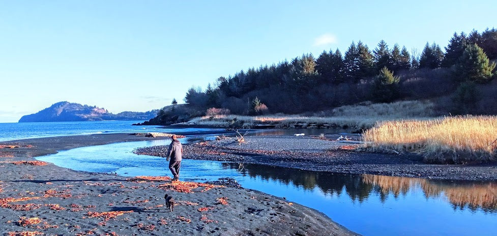 Top Beaches for Shelling in Alaska 2024: Hidden Coastal Gems