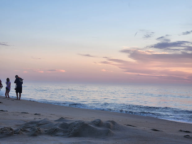 Top beaches for Shelling in Delaware 2024: Coastal Treasures Unveiled