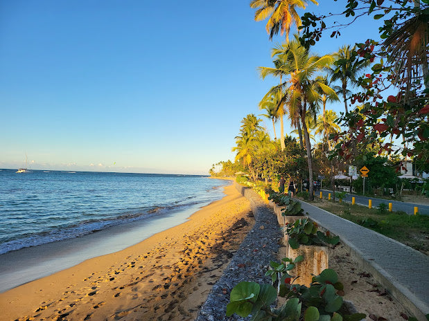 Top Beaches for Shelling in Dominican Republic 2024: Hidden Gems for Collectors