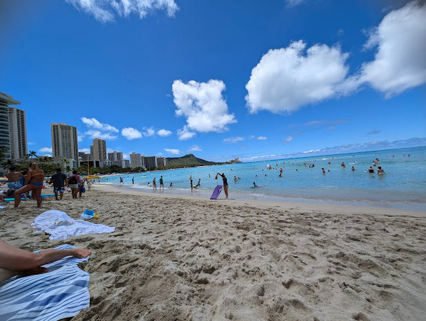 Top Beaches for Shelling in Hawaii 2024: Hidden Gems for Collectors