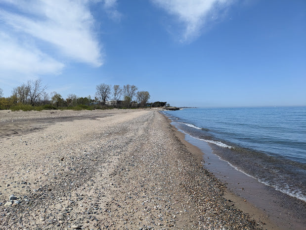 Top beaches for Shelling in Illinois 2024: Hidden Gems Along Lake Michigan