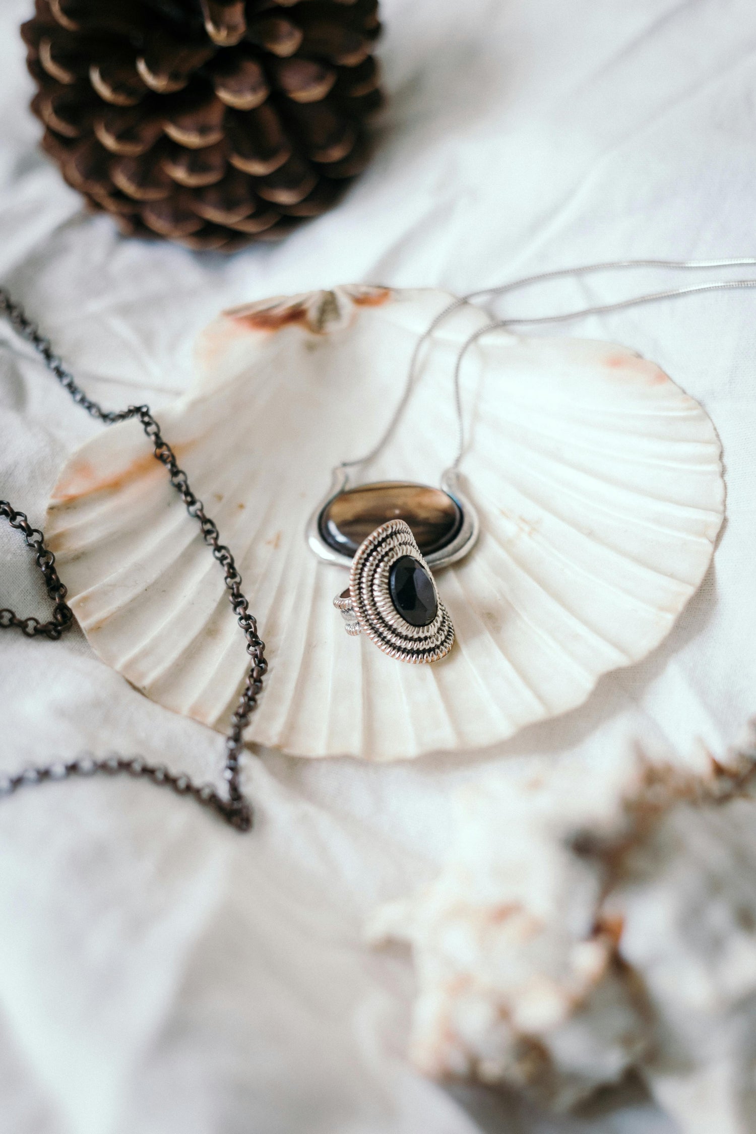 seashell jewelry