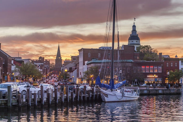 Top Beaches for Shelling in Maryland 2024: Hidden Coastal Treasures Revealed