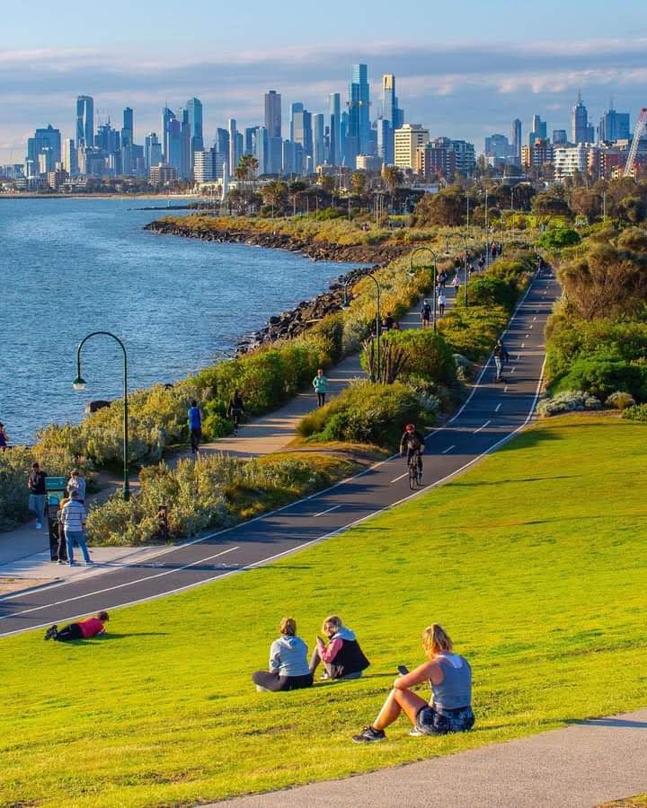 Top Shelling Beaches around Melbourne 2024: Best Spots to Find Coastal