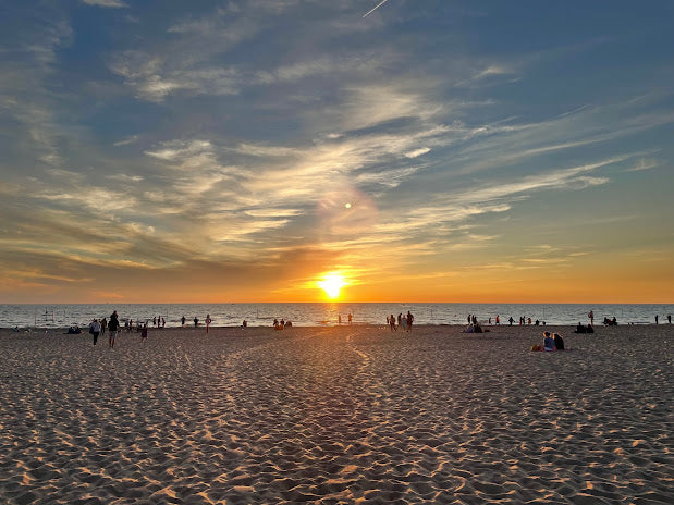 Top Beaches for Shelling in Michigan 2024: Hidden Coastal Gems