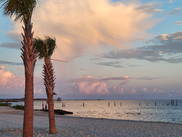 Top Beaches for Shelling in Mississippi 2024: Hidden Coastal Gems Revealed