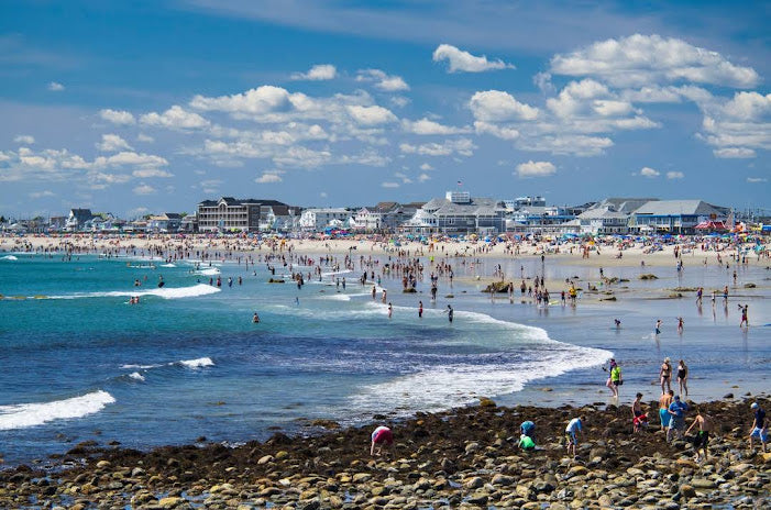 Top Beaches for Shelling in New Hampshire 2024: Hidden Gems for Collectors