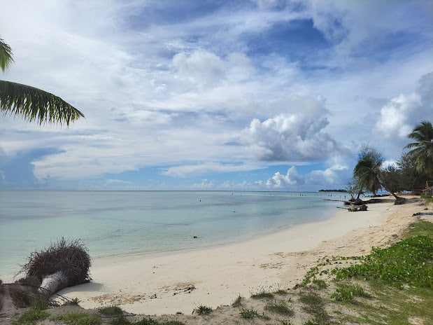 Top beaches for Shelling in Northern Mariana Islands 2024: Hidden Gems for Collectors