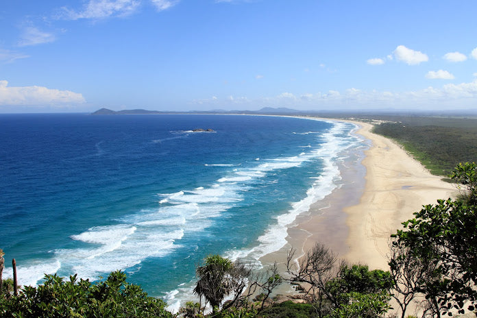 Top Shelling Beaches in New South Wales 2024: Prime Coastal Spots for Beachcombers