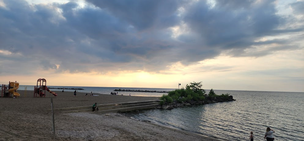 Top Beaches for Shelling in Ohio 2024: Hidden Coastal Gems Revealed