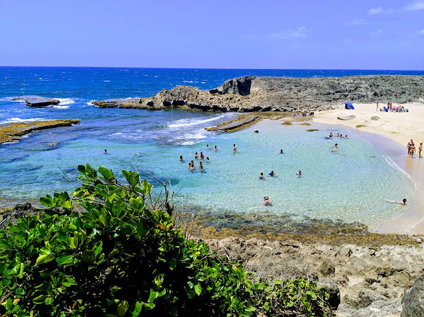 Top Beaches for Shelling in Puerto Rico 2024: Hidden Coastal Gems Revealed