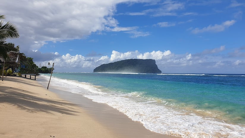 Top Beaches for Shelling in American Samoa 2024: Hidden Gems for Collectors