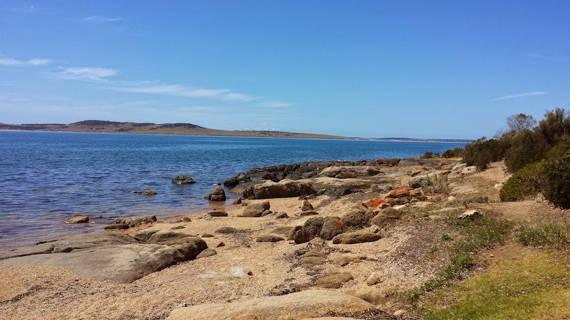 Top Shelling Beaches in South Australia 2024: Prime Spots for Beachcombers