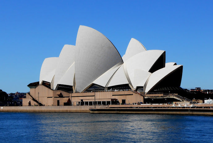 Top Shelling Beaches around Sydney 2024: Prime Spots for Beachcombers