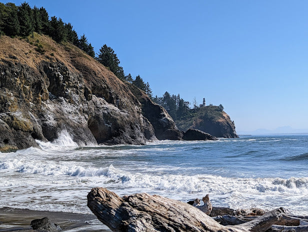 Top Beaches for Shelling in Washington 2024: Hidden Coastal Gems Revealed