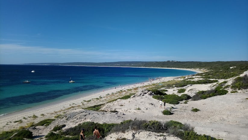 Top Shelling Beaches in Western Australia 2024: Prime Spots for Beachcombers