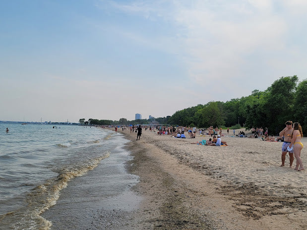 Top Beaches for Shelling in Wisconsin 2024: Hidden Coastal Gems for Collectors