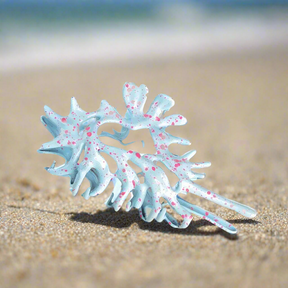 Oceanic Conch Hair Claw