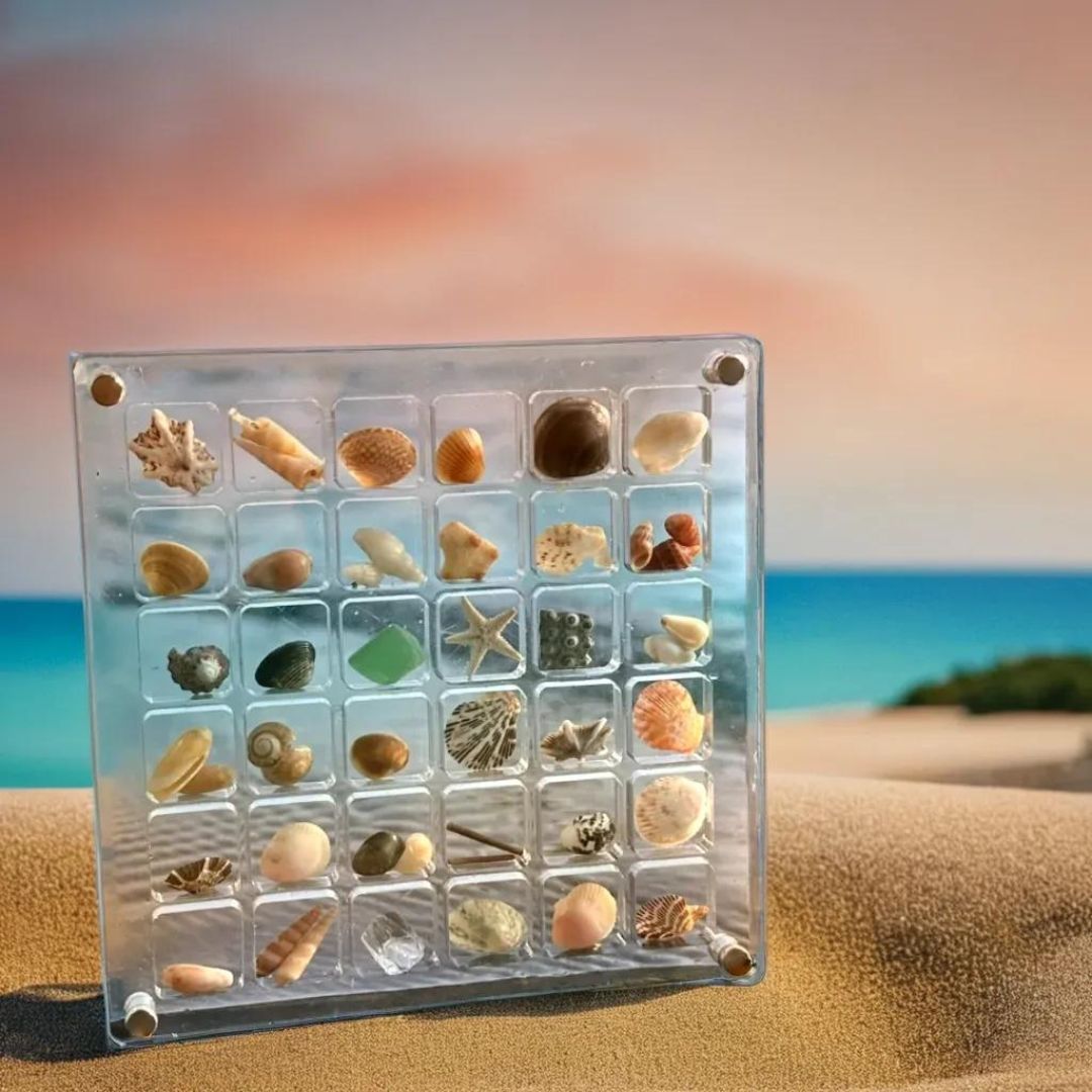 FinGlass Seashell Display Case by the beach