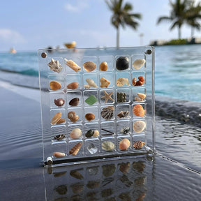 FinGlass Seashell Display Case by the beach