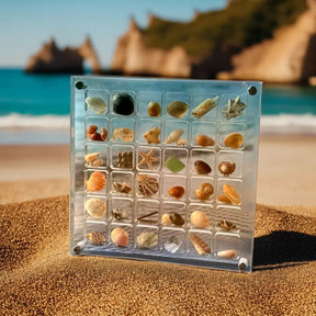 FinGlass Seashell Display Case by the beach