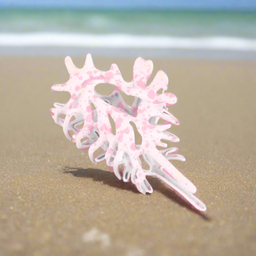 Oceanic Conch Hair Claw