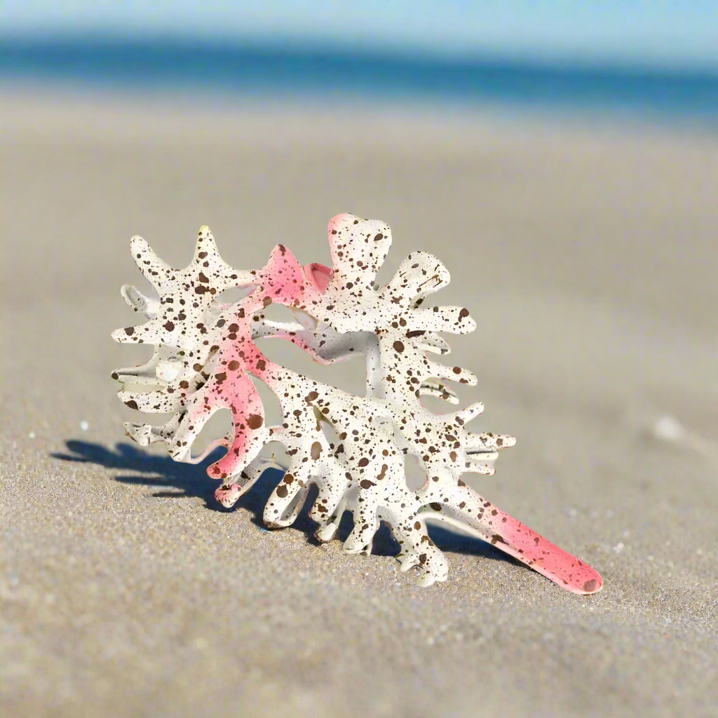 Oceanic Conch Hair Claw