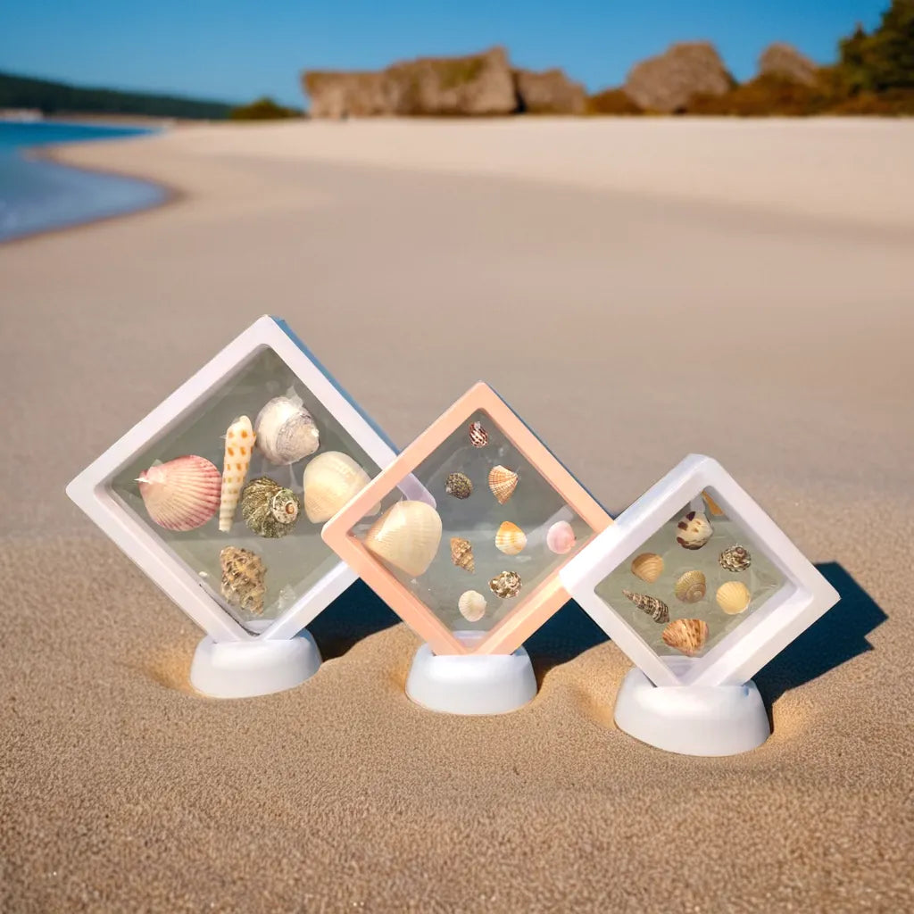 3D Floating Shell Frame - Stretchable & Reusable